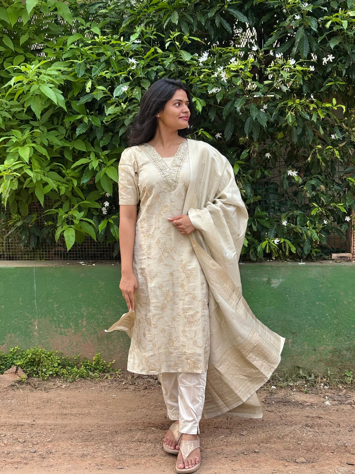 Banarasi tissue Suit