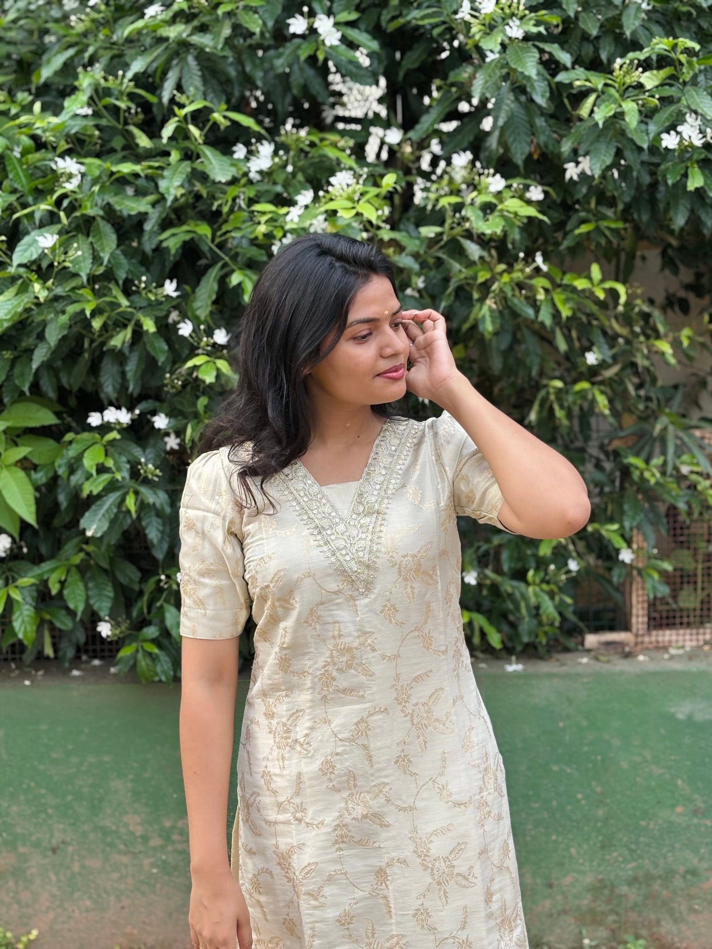 Banarasi tissue Suit