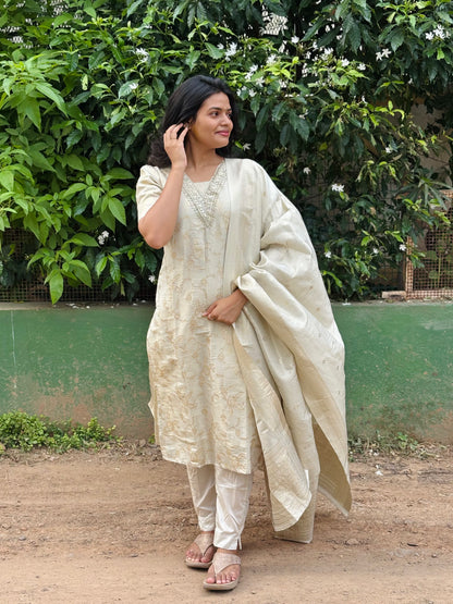Banarasi tissue Suit
