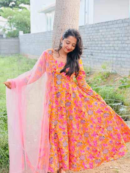 Nivi